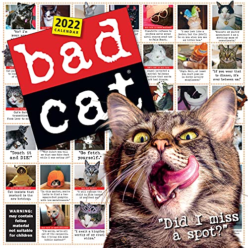 Bad Cat Wall Calendar 2022 - Workman Calendars: 9781523513116 - AbeBooks